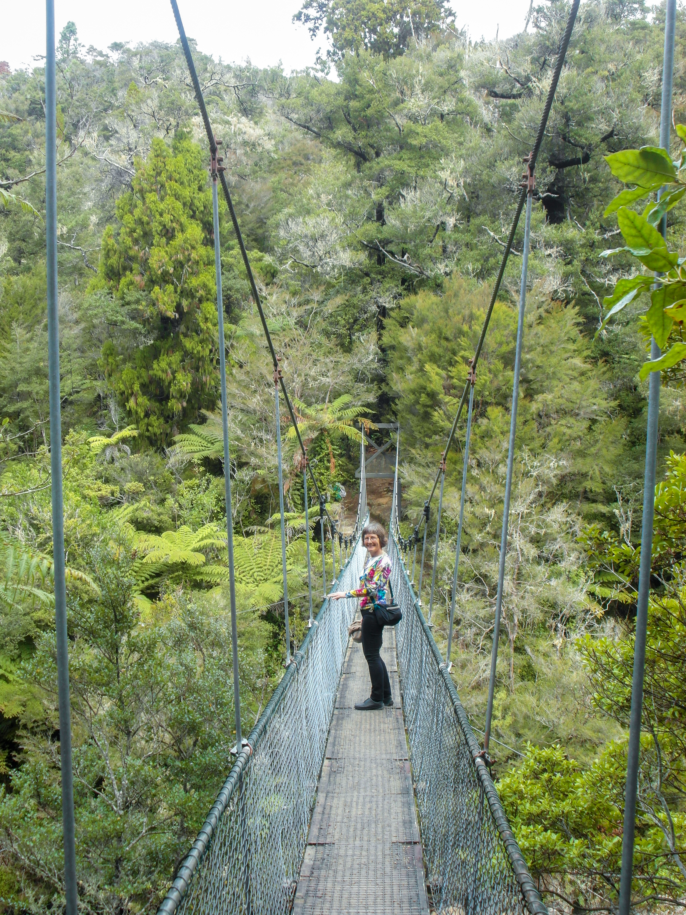 A woman looking back from a narrow suspension bridge surrounded by dense forest and ferns.